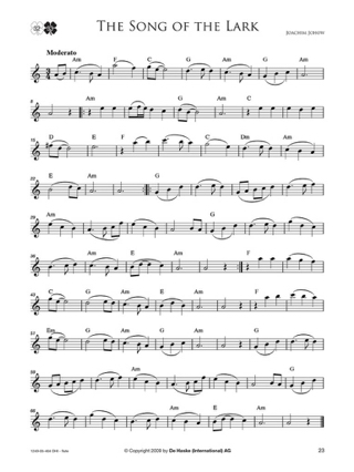 Irish Melodies - Flute - Joachim Johow - Partition